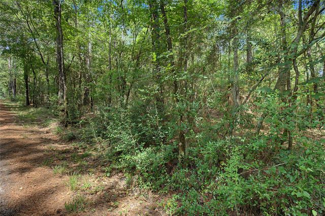TBD Bilnoski Road, Willis, TX 77378