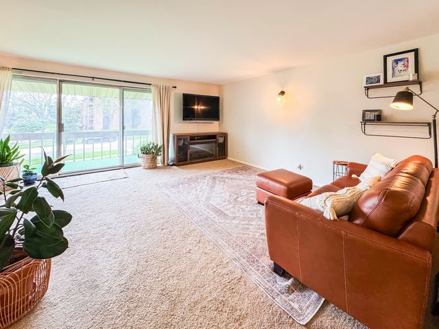 15801 ORLAN BROOK Drive 54, Orland Park, IL 60462