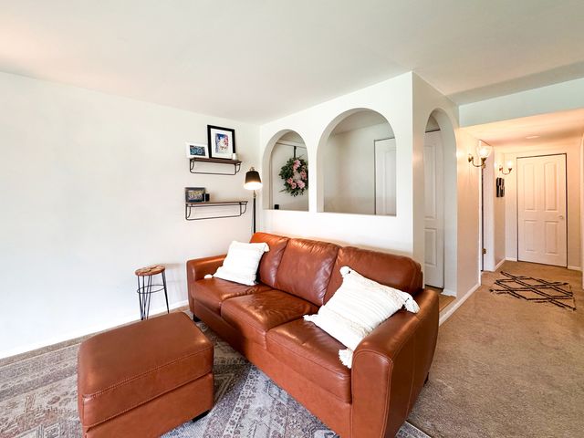15801 ORLAN BROOK Drive 54, Orland Park, IL 60462