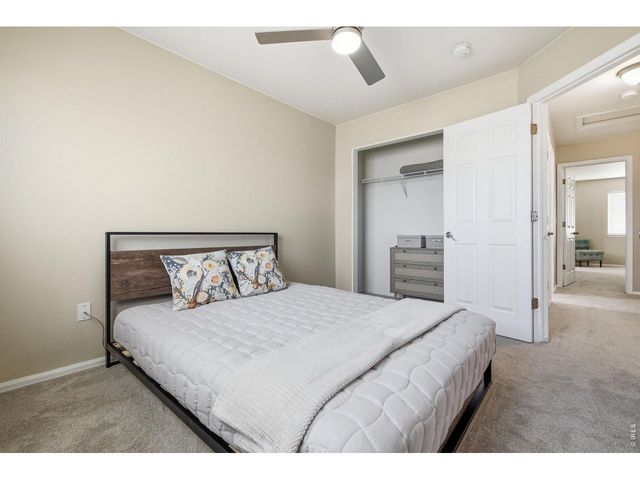 2558 Palmer Ave, Mead, CO 80542