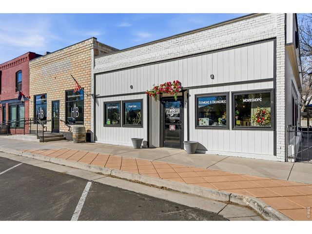 2558 Palmer Ave, Mead, CO 80542