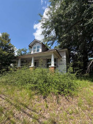 138 S Pine Street, Batesburg, SC 29006