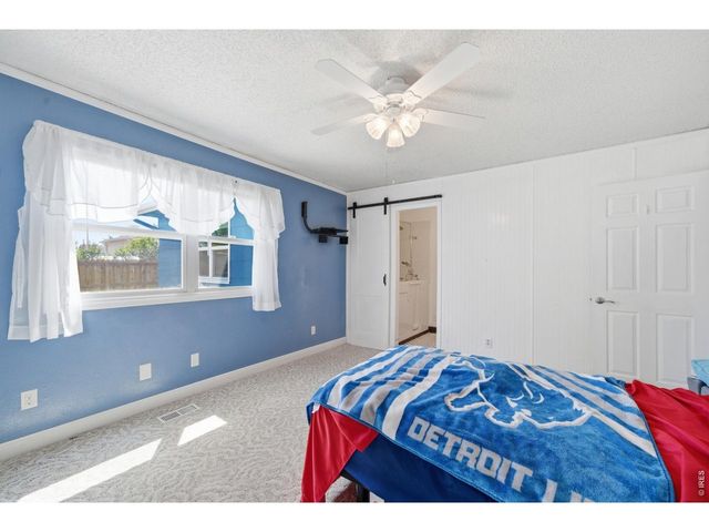 3726 Conifer Dr, Loveland, CO 80538