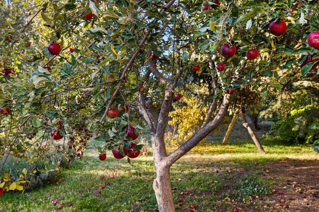 2539 E 3700 N, Twin Falls, ID 83301