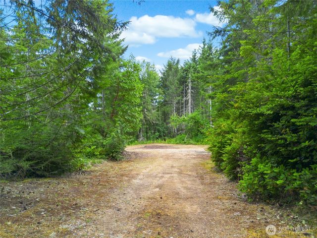 0 Rustic Ridge Drive, Lilliwaup, WA 98555