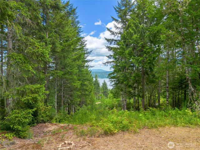 0 Rustic Ridge Drive, Lilliwaup, WA 98555