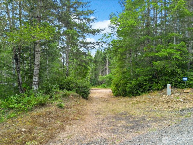 0 Rustic Ridge Drive, Lilliwaup, WA 98555