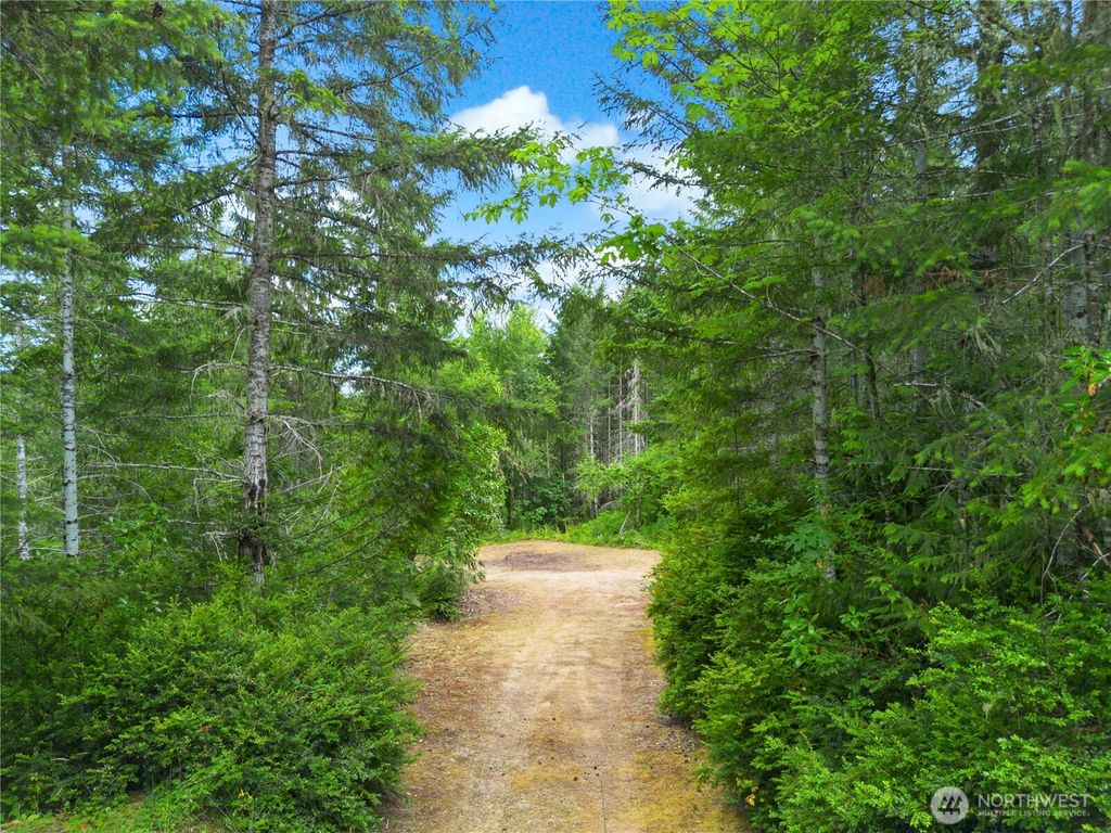 0 Rustic Ridge Drive, Lilliwaup, WA 98555