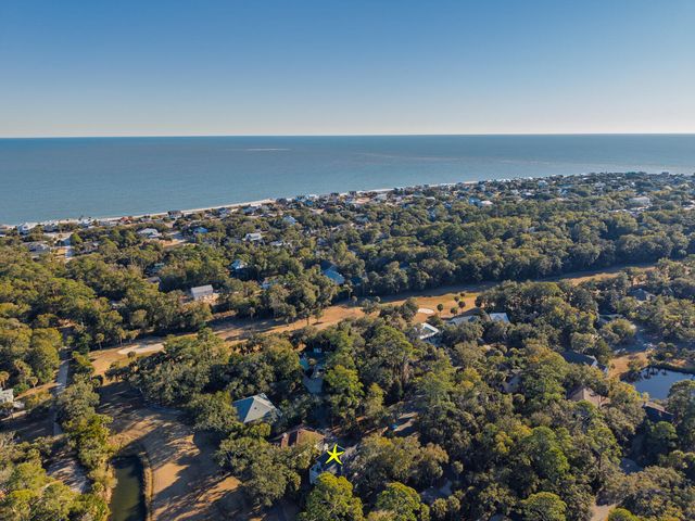 55 Rice Lane, Edisto Island, SC 29438