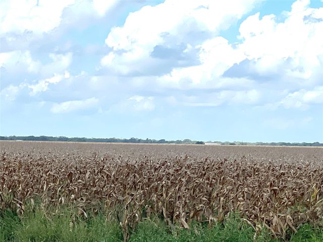 0 Fm 458, Midfield, TX 77458