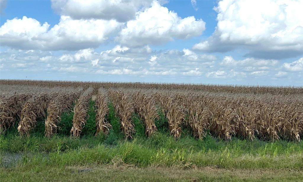 0 Fm 458, Midfield, TX 77458