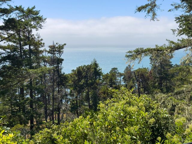 46900 Gypsy Flat Rd, Gualala, CA 95445