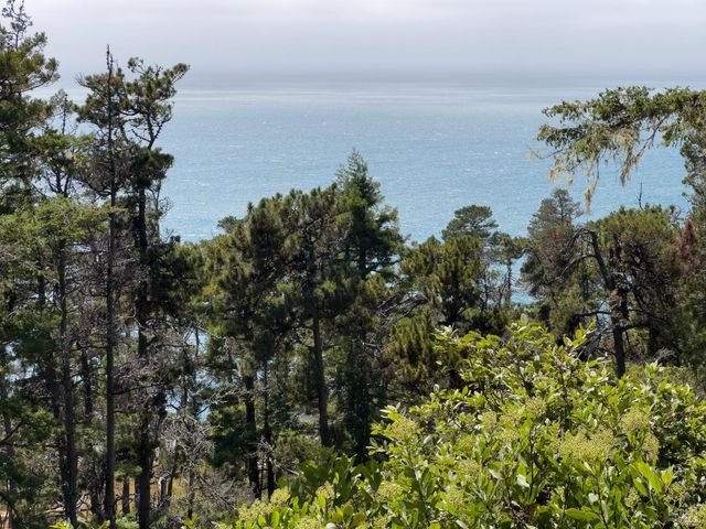 46900 Gypsy Flat Rd, Gualala, CA 95445