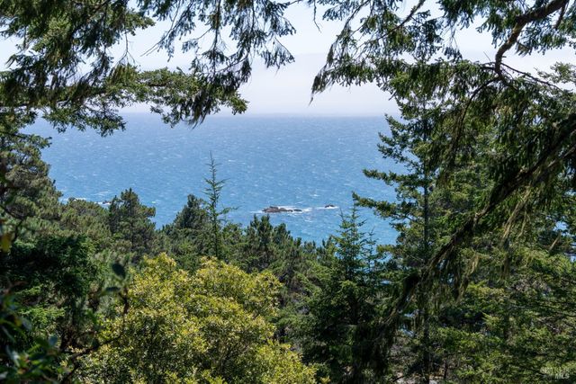 46900 Gypsy Flat Rd, Gualala, CA 95445