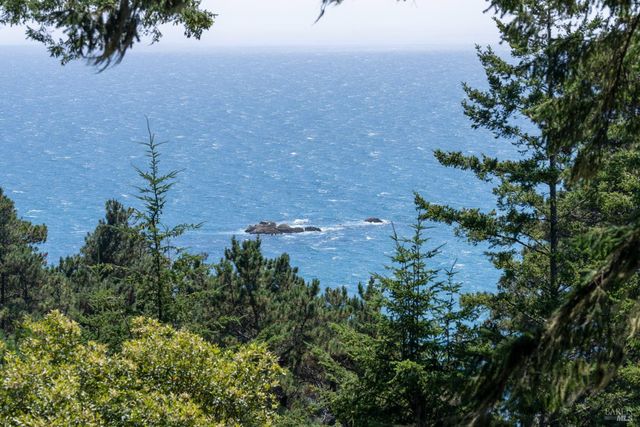 46900 Gypsy Flat Rd, Gualala, CA 95445