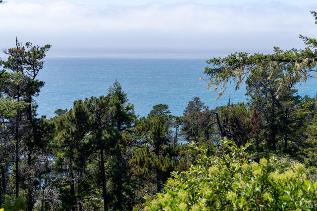 46900 Gypsy Flat Rd, Gualala, CA 95445