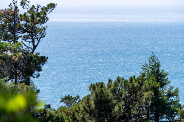 46900 Gypsy Flat Rd, Gualala, CA 95445