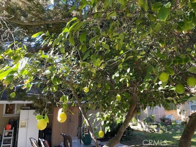 13430 Oxnard, Valley Glen, CA 91401