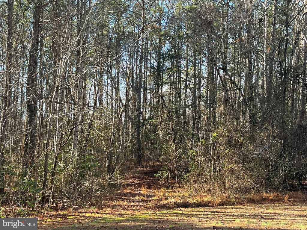 0B MCKENNEY DR, Woodford, VA 22580