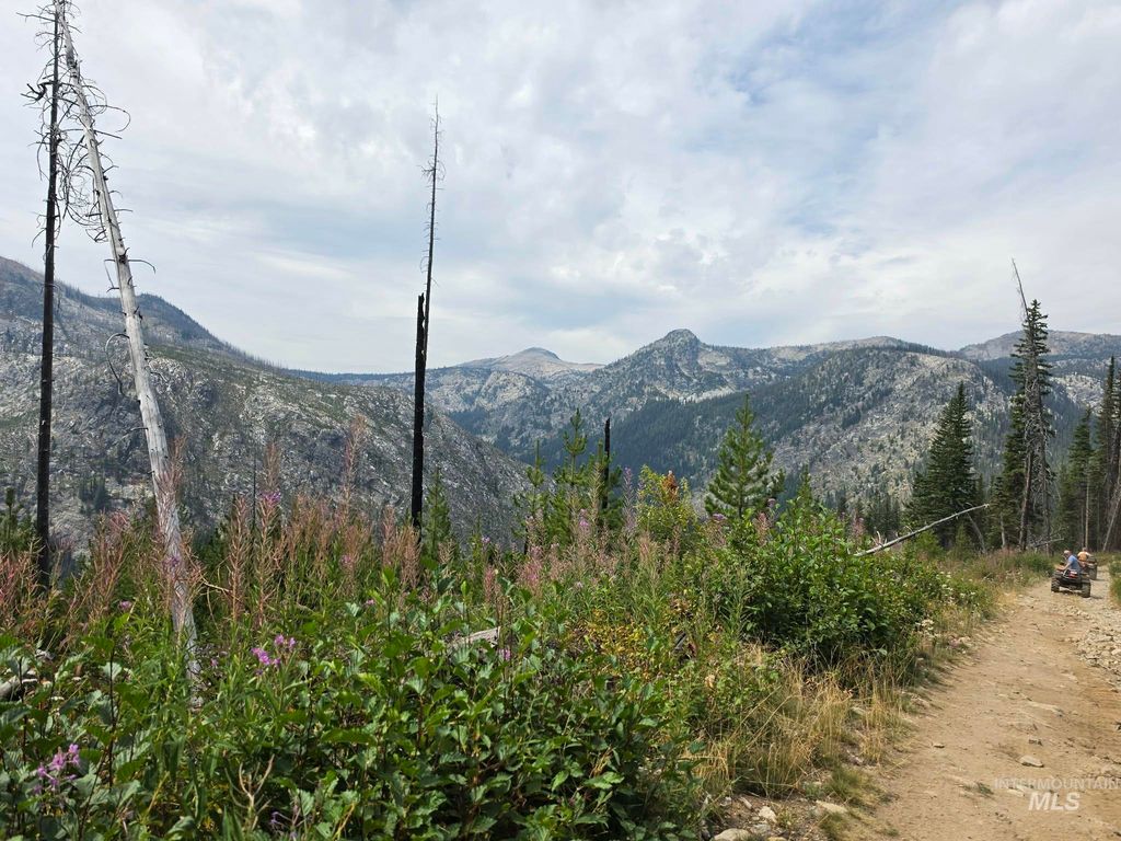 TBD Hump Lake Lot 4, Dixie, ID 83525 photo 4