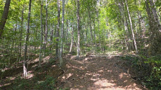 0 Tucker Road, (Tract D at Hocking Hideout), New Straitsville, OH 43766