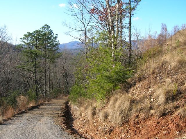247 Rice Lane, Murphy, NC 28906