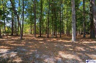 TBD Cypress Bend Road, Florence, SC 29506
