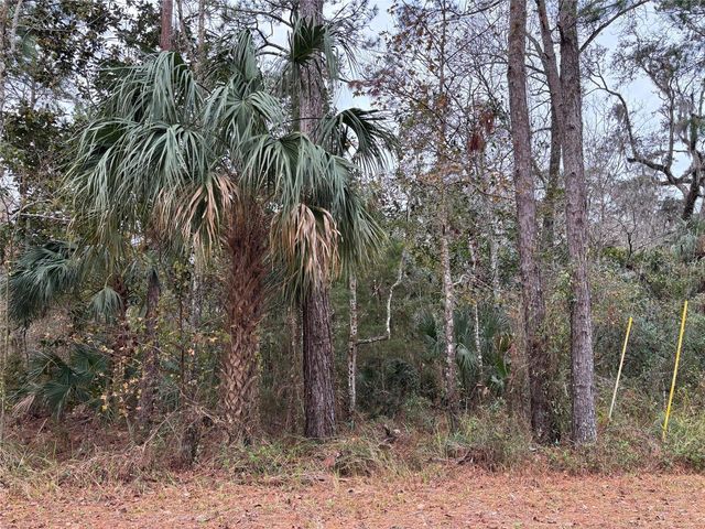 Lot 12 CAROLINA DOVE ROAD, Brooksville, FL 34614
