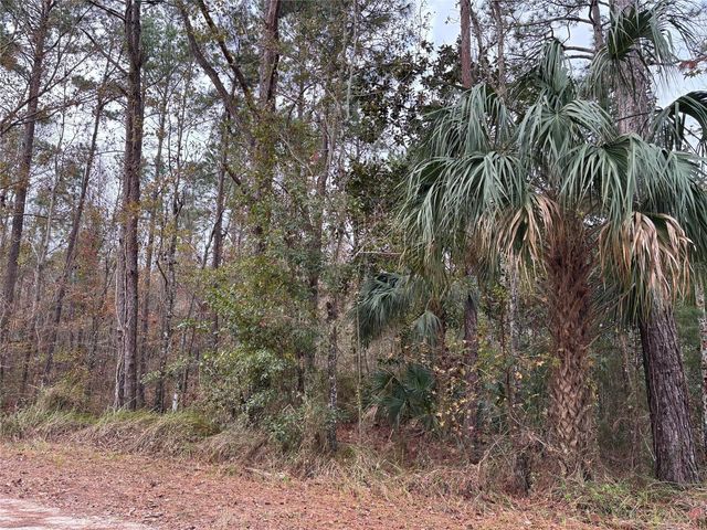 Lot 12 CAROLINA DOVE ROAD, Brooksville, FL 34614