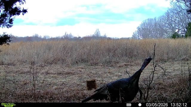 2340 Ridge Rd, Mc Ewen, TN 37101