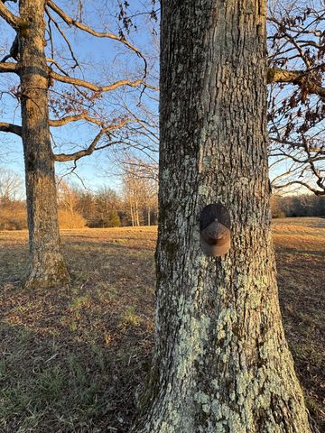 2340 Ridge Rd, Mc Ewen, TN 37101