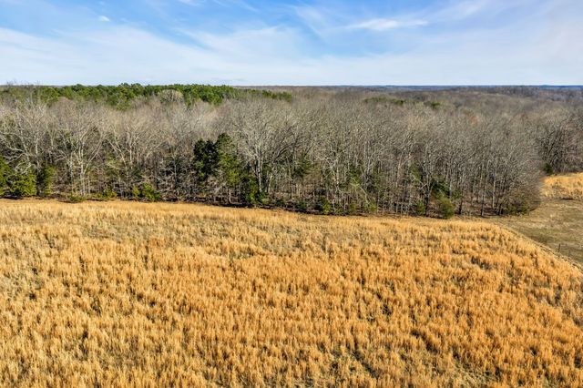 2340 Ridge Rd, Mc Ewen, TN 37101