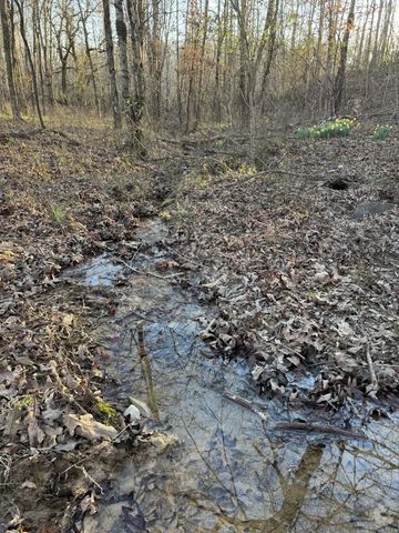 2340 Ridge Rd, Mc Ewen, TN 37101