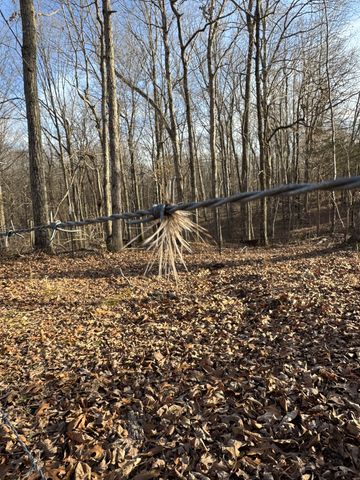 2340 Ridge Rd, Mc Ewen, TN 37101