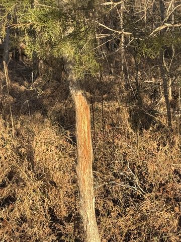 2340 Ridge Rd, Mc Ewen, TN 37101