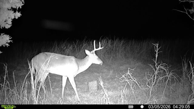 2340 Ridge Rd, Mc Ewen, TN 37101