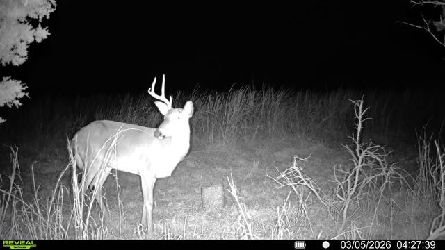 2340 Ridge Rd, Mc Ewen, TN 37101