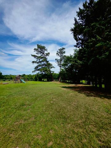 10914 FM 607 N, Brownsboro, TX 75756