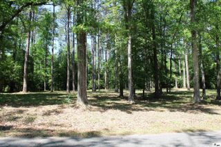 356 WOODSWAY CIRCLE, Chatham, LA 71226