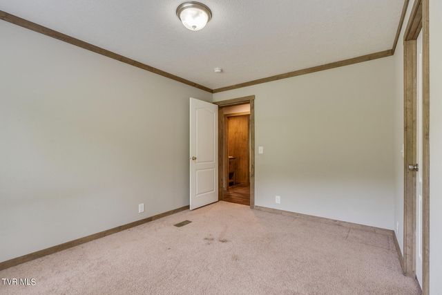 343 Butcher Valley Road, Rogersville, TN 37857