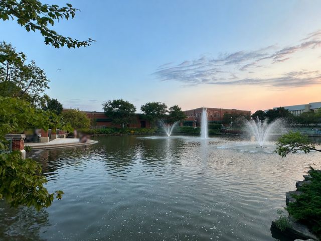 220 S Roselle Road 321, Schaumburg, IL 60193
