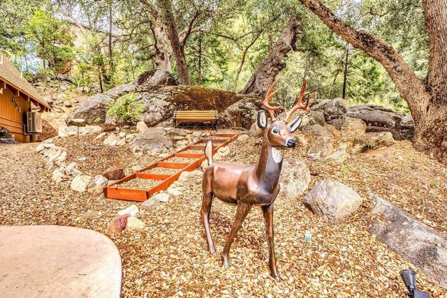 52146 Acorn Lane, Idyllwild, CA 92549