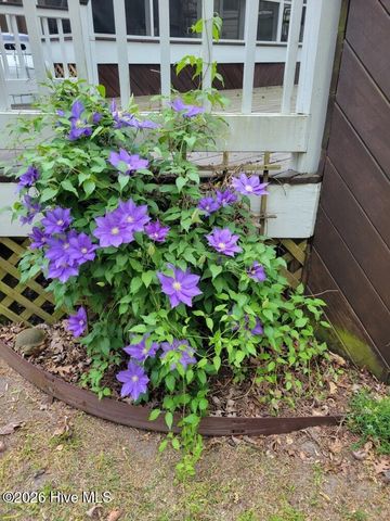 110 Red Oak Drive, Goldsboro, NC 27530