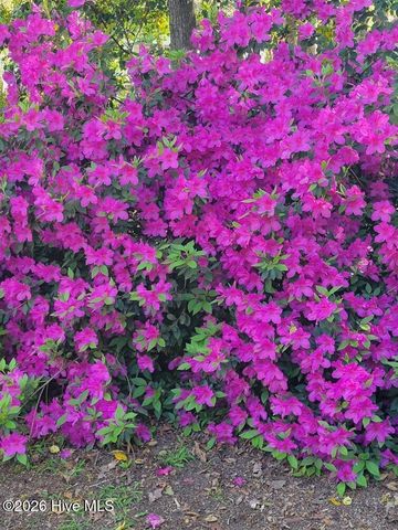 110 Red Oak Drive, Goldsboro, NC 27530