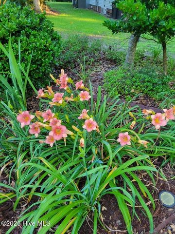 110 Red Oak Drive, Goldsboro, NC 27530