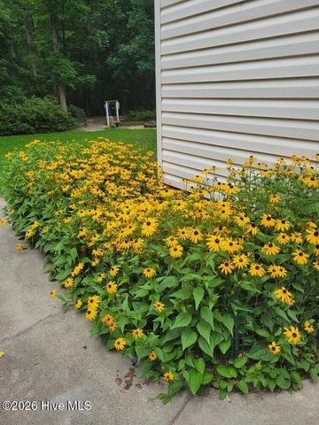 110 Red Oak Drive, Goldsboro, NC 27530