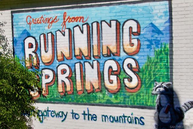 32065 Hunsaker way 12, Running Springs, CA 92382