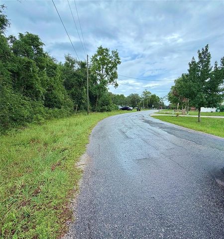 0 SE 175TH TER RD, Silver Springs, FL 34488