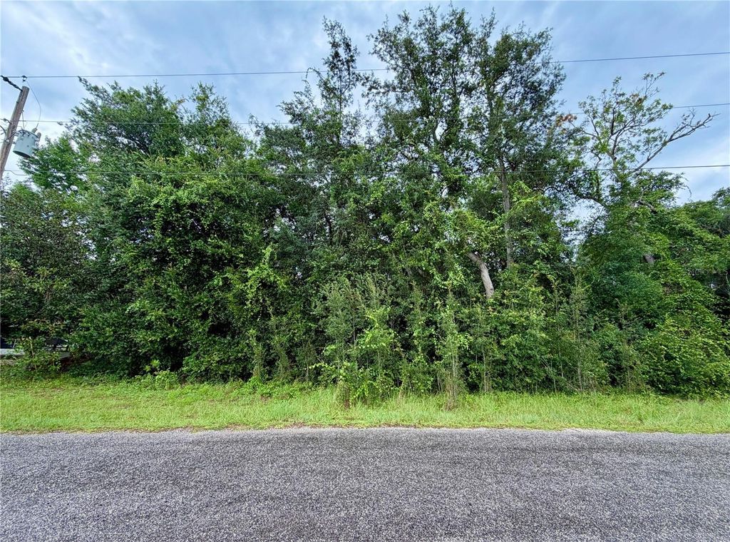 0 SE 175TH TER RD, Silver Springs, FL 34488