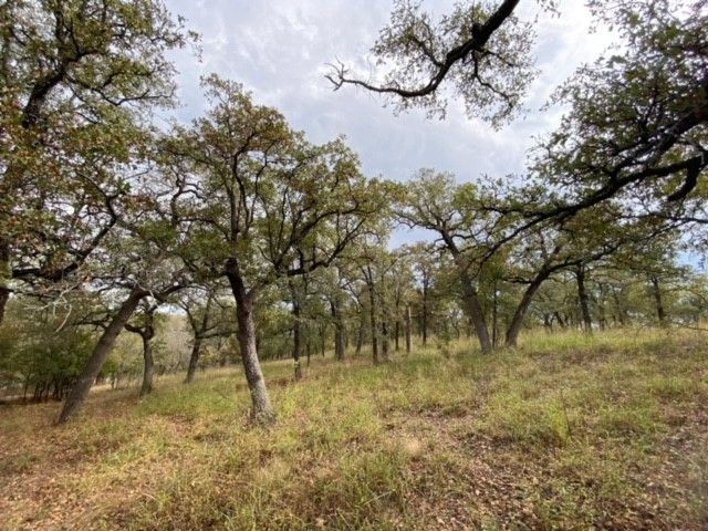 155 Phillips Court, Runaway Bay, TX 76426